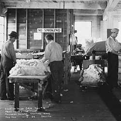 Mattress factory stuffing room workers