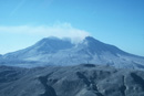 Mount St. Helens Succession Collection