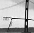 Tacoma Narrows Bridge