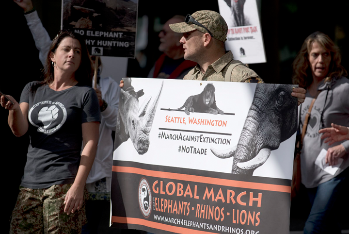 Global March for Elephants