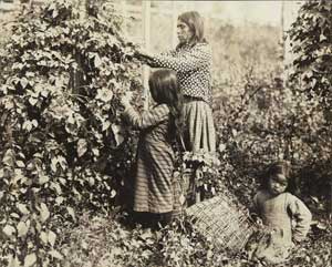 Puget Sound area girls and baskets