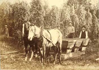 Hop pickers Puyallup Valley WA, ca. 1889