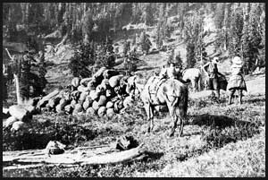 Men, women and horses at Kimta Creek camp
