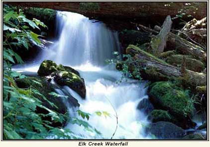 Elk Creek Waterfall