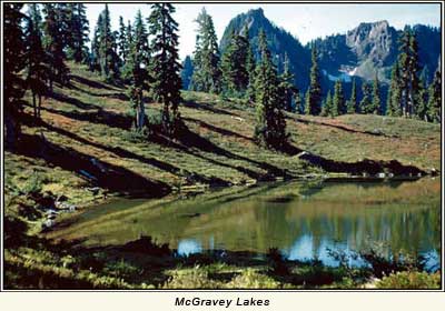 McGravey Lakes