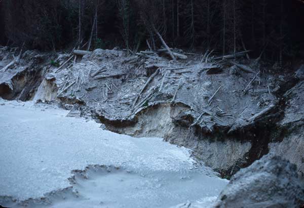 Debris flow above Baker Camp, Mt. St. Helens, May 18, 1980 eruption