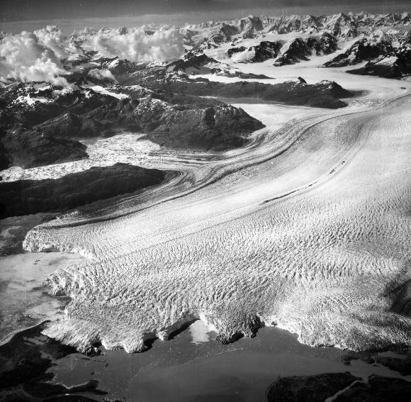 Columbia Glacier, Calving Terminus, Terentiev Lake, 1961