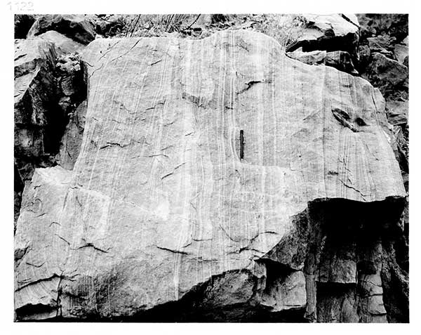 Crossbedding in block of quartzite (probably Shinumo) on lower Kaibab trail