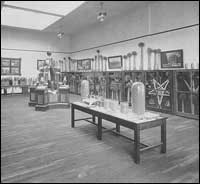 Grain and agricultural product exhibit in Spokane Building