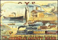 Chehalis Country: The Great Grays Harbor Country