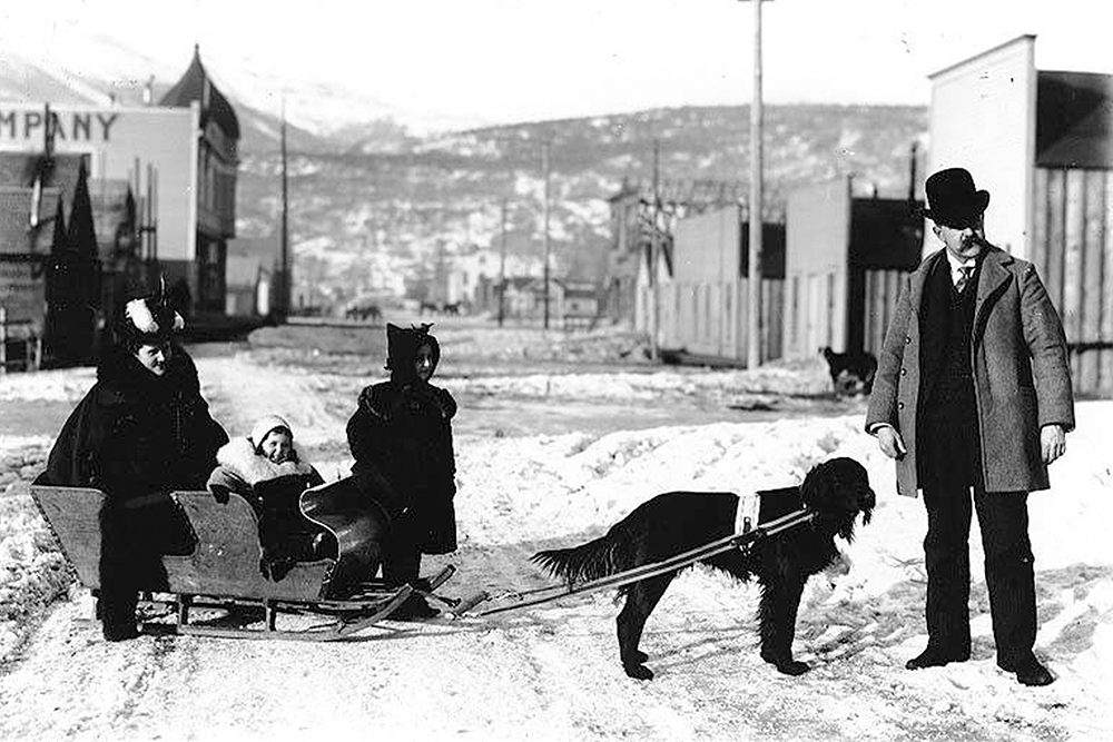 Dog hauling sled with woman and two children, Skagway, Alaska, ca. 1898.