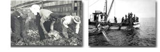 Row 3 images