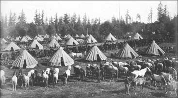 1st Cavalry tent encampment, Fort Lawton