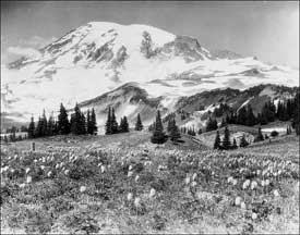 Mount Rainier